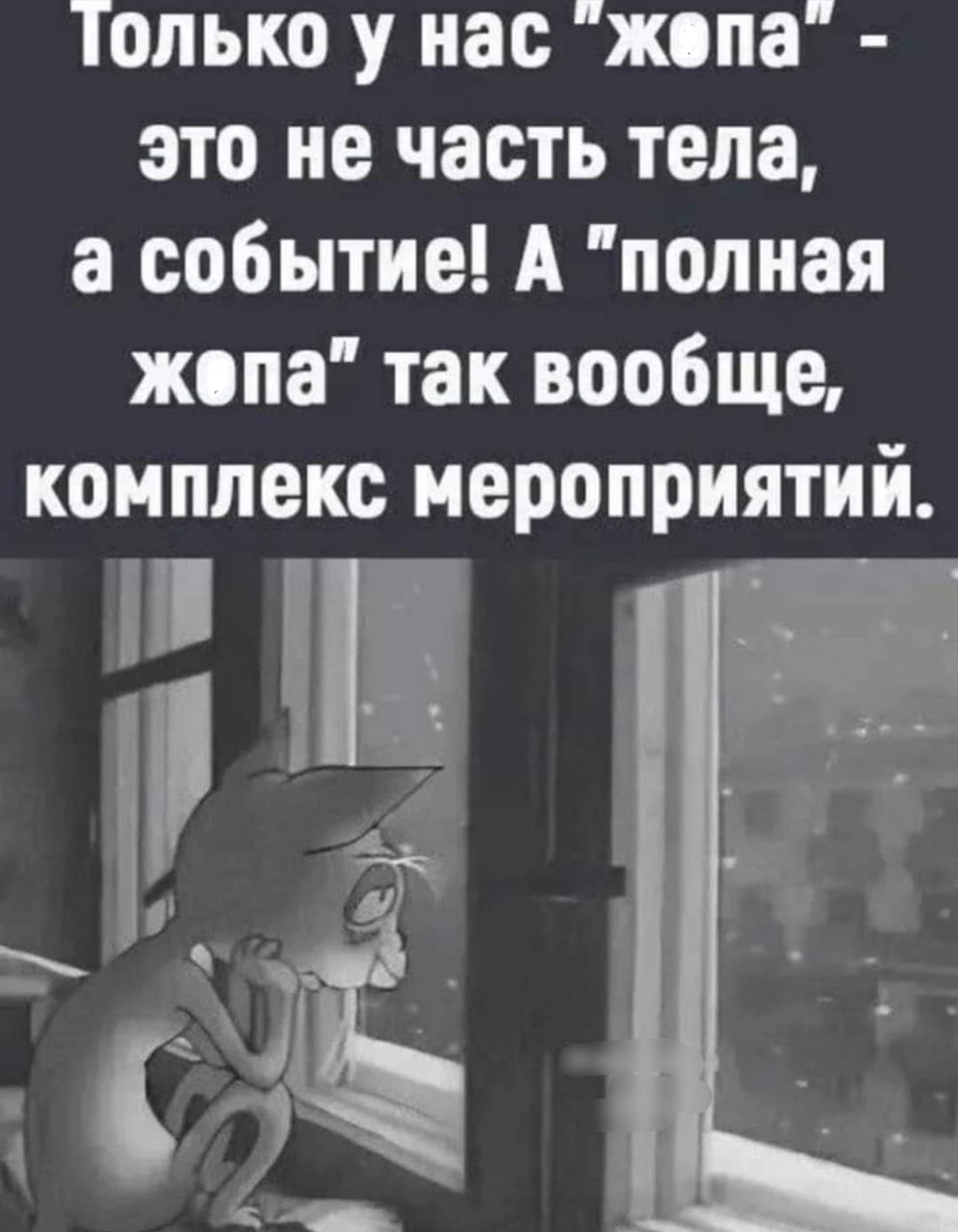 Попец которого нам не хватало на экранах